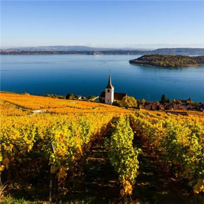 中欧体育最新地址