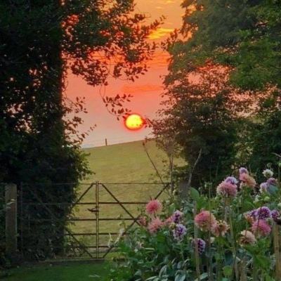 百姓彩票Welcome手机app下载