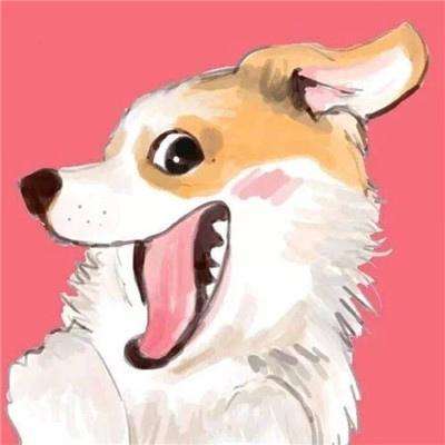 开元ky7818老版本手机app下载