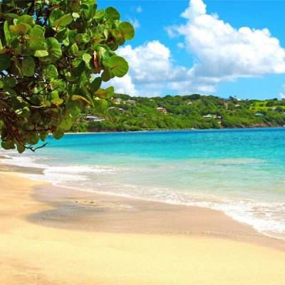 bob半岛·体育中国官方网站