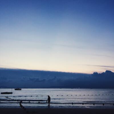 澳门天天免费资料大全下载下载手机版